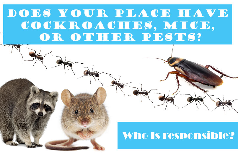 Does your place have cockroaches, mice, or other pests?